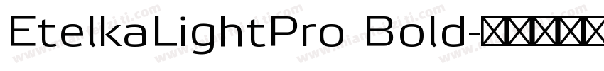 EtelkaLightPro Bold字体转换